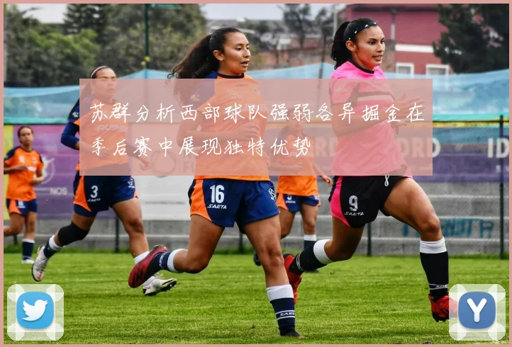 苏群分析西部球队强弱各异掘金在季后赛中展现独特优势