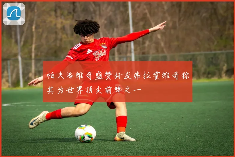 帕夫洛维奇盛赞好友弗拉霍维奇称其为世界顶尖前锋之一