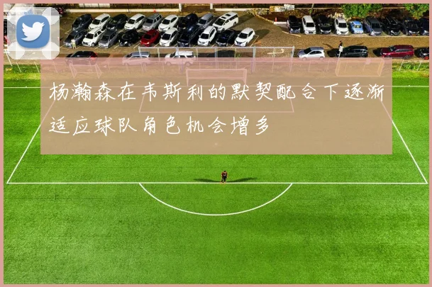 杨瀚森在韦斯利的默契配合下逐渐适应球队角色机会增多